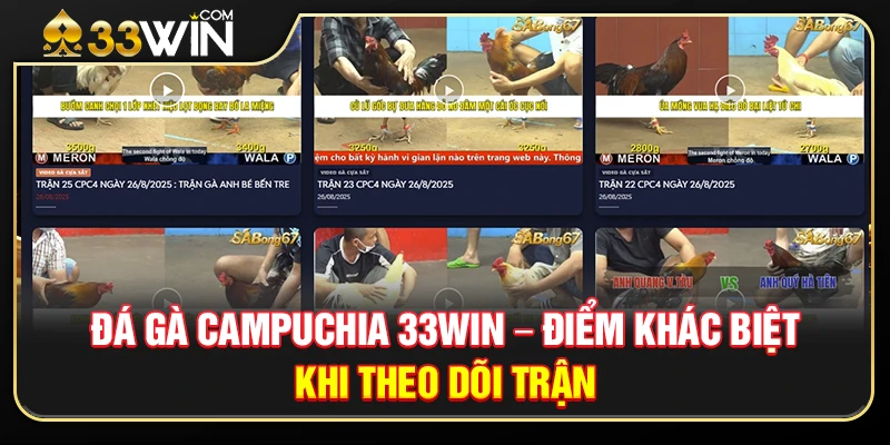 Đá Gà Campuchia 33WIN – Điểm Khác Biệt Khi Theo Dõi Trận Đấu 1 Đá Gà Campuchia 33WIN – Điểm Khác Biệt Khi Theo Dõi Trận Đấu