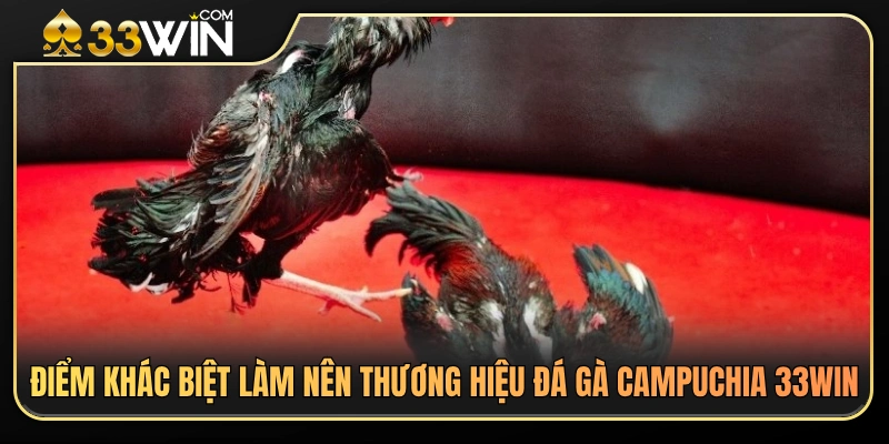 Đá Gà Campuchia 33WIN – Điểm Khác Biệt Khi Theo Dõi Trận Đấu 3 Lợi thế cạnh tranh giúp đá gà Campuchia 33WIN được yêu thích