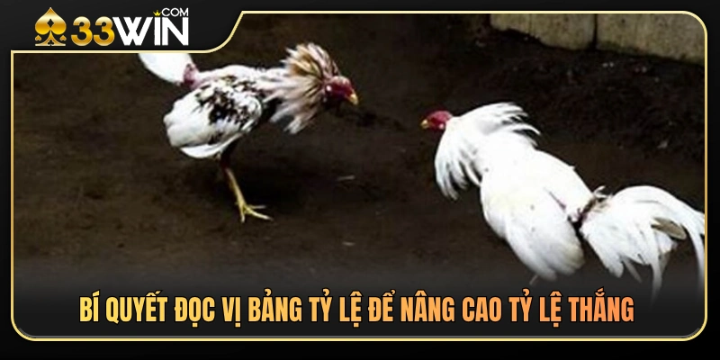 Kinh nghiệm phân tích bảng kèo đá gà từ các cao thủ lâu năm 